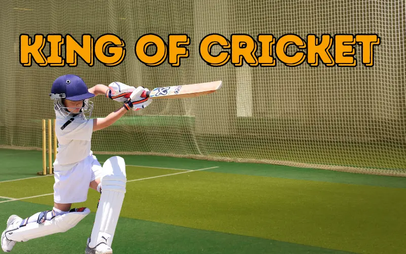 king of cricket games play