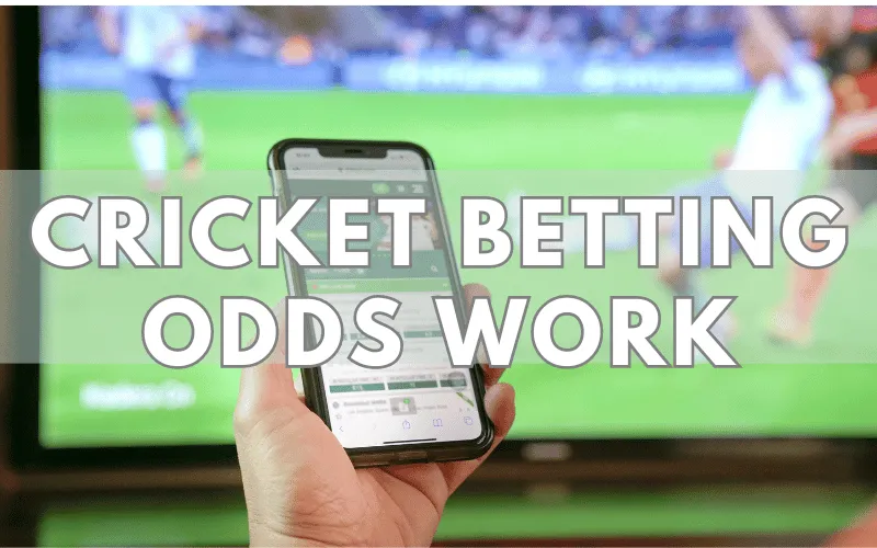 cricket betting odds